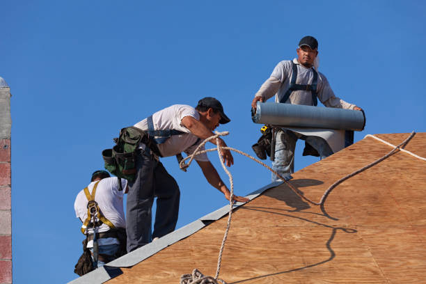 Best Metal Roofing Contractor  in Ben Wheeler, TX